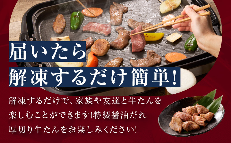 【お試し】厚切り牛タン 600g 秘伝の醤油だれ【300g×2P 牛肉 牛タン 牛たん 厚切り牛タン 焼肉 BBQ キャンプ アウトドア 焼くだけ 訳あり サイズ不揃い 小分け】 099H4424_イ