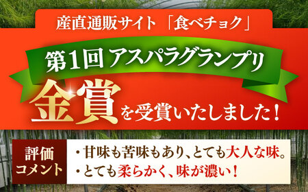 【先行予約 2027年3月～発送】春芽アスパラガス 約500g / アスパラ [ICW005]