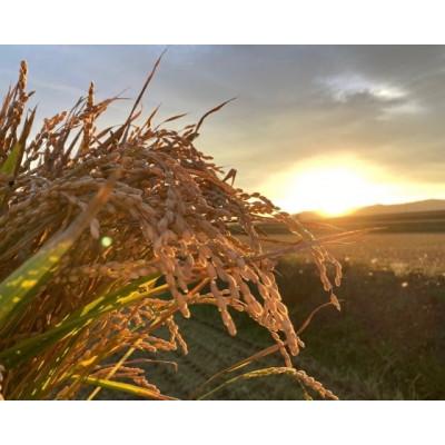 ふるさと納税 鷹栖町 令和7年産 真空パック ななつぼし 白米 5kg×4 計20kgセット |  | 02