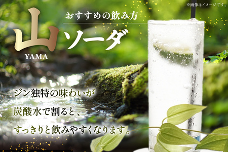 ジン 700ml 1本｜スピリッツ クラフトジン  JIN ソーダ割り GIN