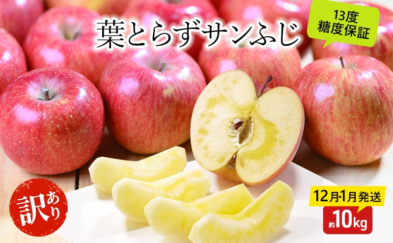 
                  りんご 【12月・1月発送】 蜜入り 糖度13度以上 訳あり品 家庭用 葉とらず サンふじ 約 10kg 【 青森りんご 果物 フルーツ デザート 食後 おやつ 産地直送 】
                