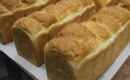 【４枚切り】パンいろいろ詰合せ（食パン２斤とハード系パン８個入）合計１０個入 - 送料無料 パン好き 朝食 朝ごはん ランチ のし 高知県 香南市 【冷凍】 it-0056-4