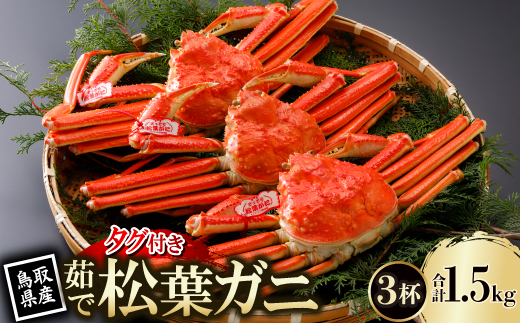 【先行予約】鳥取県産 タグ付き 茹 松葉がに 500g×3杯(中村商店)2027年1月末より順次発送【配送不可地域：離島・北海道・沖縄県・東北・信越、北陸】