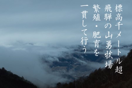 飛騨牛サーロインステーキ250g×2枚 合計500g［E0020ch］