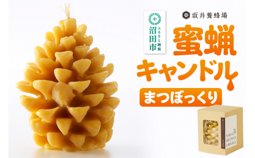 奥利根坂井の蜜蝋キャンドル まつぼっくり [蜜蝋 みつろう ミツロウ 蜂蜜 はちみつ ハチミツ 蝋燭 ろうそく ロウソク 天然素材]