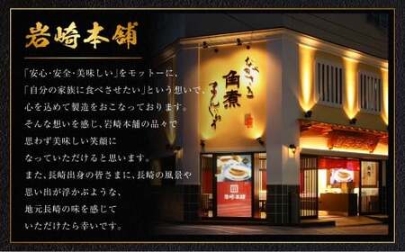【7営業日以内発送】長崎角煮まぶし 5袋 ／ 岩崎本舗 1袋あたり100g 豚肉 お肉 甘辛 タレ たれ 惣菜 おかず 丼 小分け 長崎県 長崎市