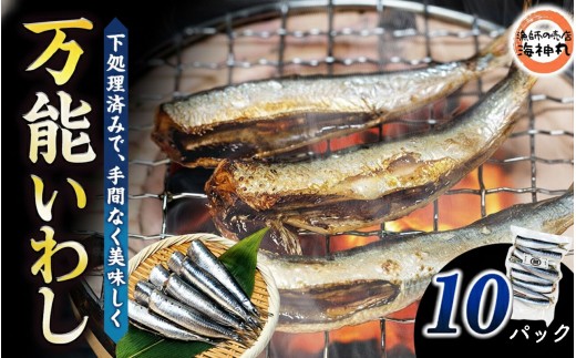 万能いわし 8匹 (約160g~180g) × 10袋 下処理済み