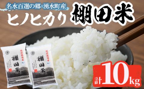 C09 鹿児島県産ひのひかり 棚田米10kgセット(5kg×2袋) 国産 九州産 鹿児島県産 湧水町産 10kg お米 おこめ 米 白米 ご飯 ごはん おにぎり ひのひかり ヒノヒカリ 【くりの物産館】