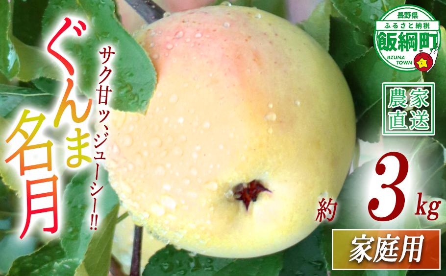 
                  りんご ぐんま名月 家庭用 3kg 丸山りんご園 沖縄県への配送不可 2026年11月上旬頃から2026年12月上旬頃まで順次発送予定 令和8年度収穫分 信州 果物 フルーツ リンゴ 林檎 長野 予約 農家直送 長野県 飯綱町 [1633]
                