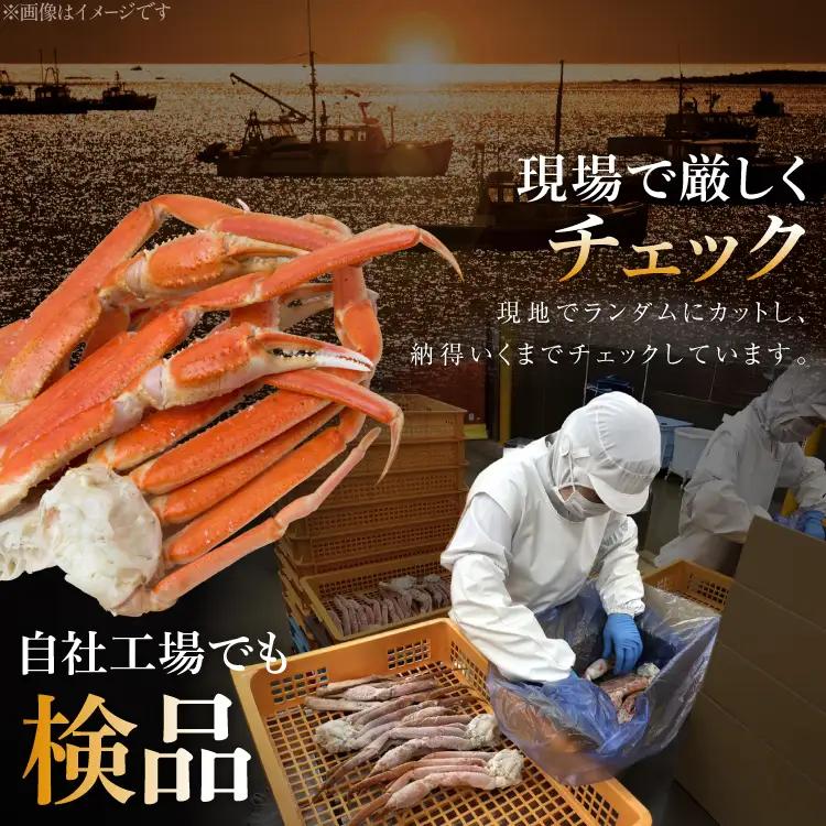 本ずわいがに 脚 3L～4L 総重量 2kg かに 蟹 カニ 