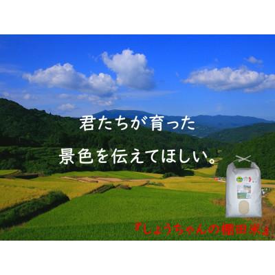 ふるさと納税 多久市 【毎月定期便】『しょうちゃんの棚田米。』栽培期間中農薬使用なし 精米5kg×全3回 |  | 02