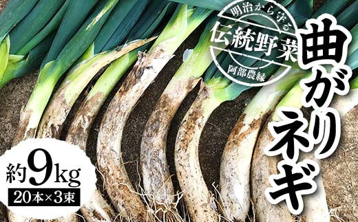 明治から守る伝統野菜「曲がりネギ」約9㎏ F7X-0076