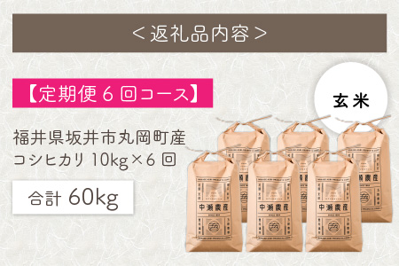 【6ヶ月連続お届け】福井県坂井市丸岡町産 コシヒカリ（玄米）10kg×6回　計60kg  [H-11301_02]