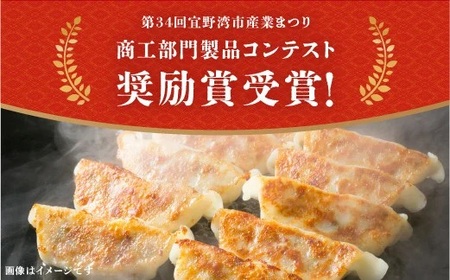 かめかめ島餃子（豚肉・やんばる若鶏/にんにくあり）（ 30個 × 2袋 ） 餃子 冷凍