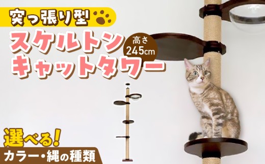 スケルトンキャットタワー LB-HM（高さ245cm） _ キャットタワー スケルトン 突っ張り型 猫 猫用 透明 クリアボウル 家具調仕上げ インテリア 重厚感 高級感 運動不足解消 ストレス解消 安心 安全 耐久性 組立式 受注生産 日本製 国産 ペット用品 お取り寄せ 福岡県 久留米市 送料無料 _Qx087-02
