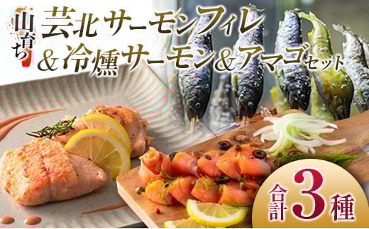 芸北サーモン計800g＆アマゴセット 骨取り サーモンフィレ 冷燻サーモン スモークサーモン 芸北アマゴ 清流育ちのお魚セット 山育ち芸北サーモン_OG065_004