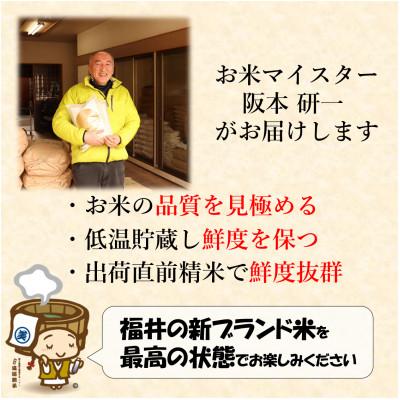 ふるさと納税 あわら市 【令和6年産】いちほまれ 精米 5kg×2袋(計10kg)《お米マイスターが発送直前に精米!》 |  | 02