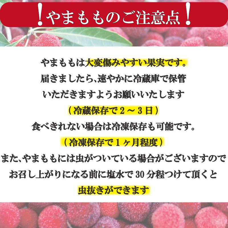 【先行予約】やまもも 400g 2026年6月下旬より順次発送 小分け パック 季節 フルーツ レア ベリー 山桃 健康 ジャム 果実酒 おやつ お菓子 スムージー 小松島市 国産