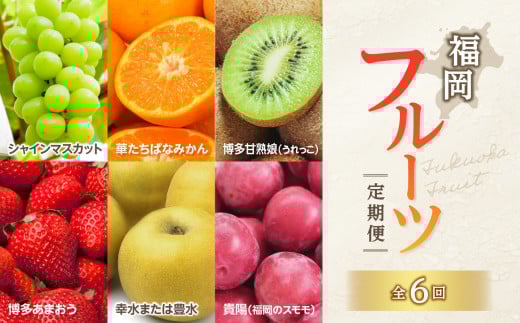 福岡フルーツ定期便【全6回】盛りだくさん果物お届け定期便　JAふくおか八女からお届け！！ 梨 豊水 幸水 シャインマスカット みかん ミカン あまおう いちご 苺 イチゴ 貴陽 すもも キウイ フルーツ 果物 くだもの 人気 旬 高糖度 甘い 福岡県産 アフター補償 数量限定 期間限定 産地直送 全6回 定期便 福岡県 八女市
