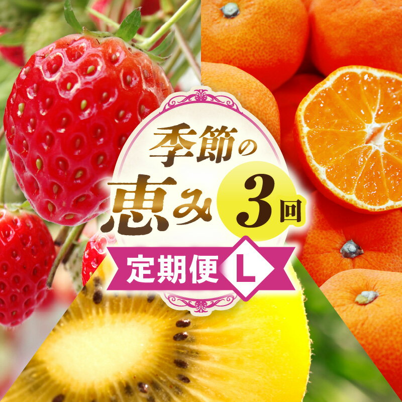 【ふるさと納税】季節の恵み3回定期便L 果物 フルーツ 青果 青果物 デザート スイーツ 果実 旬 季節 旬の果物 季節の果物 生鮮食品 生鮮 贈答 贈り物 ギフト プレゼント おすそ分け お祝い 内祝い ご褒美 人気 グルメ お取り寄せ 特産品 特産 国産 香川県 三木町 送料無料