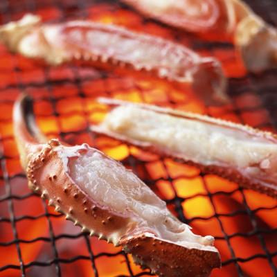 ふるさと納税 琴浦町 【2025年11月発送】訳あり 松葉がに(生)900g2杯 N23_I |  | 03