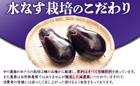 水なすぬか漬 生水なす セット (ぬか漬8個・生水なす2個) 計10個入り /大阪 泉州 特産 漬物 ご飯のお供