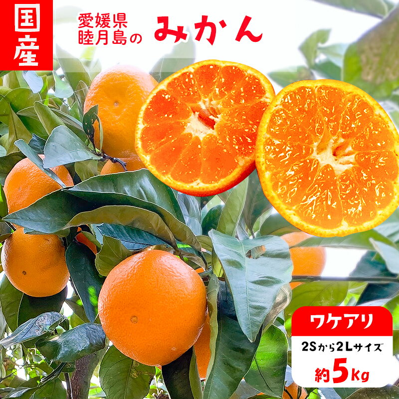 【ふるさと納税】 【2026年12月上旬頃から順次発送】 訳あり 家庭用 睦月島 の みかん 約5kg 林農園 | わけあり みかん 蜜柑 柑橘 果物 くだもの フルーツ おすすめ お取り寄せ グルメ ギフト 愛媛 松山