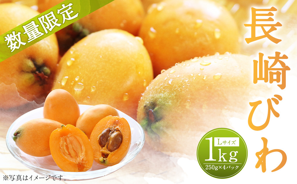 
                  長崎びわ 約1kg 約250g×4パック Lサイズ 長崎県産 枇杷 ビワ フルーツ 果物 果実 【2026年5月下旬～6月上旬迄発送予定】
                