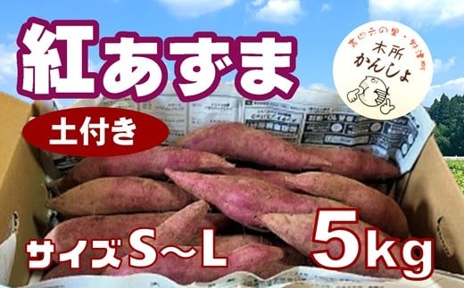 
            ホクホク甘い 木所かんしょ（紅あずま）５㎏【栽培期間中化成肥料不使用】土付き　令和７年産 さつまいも
          