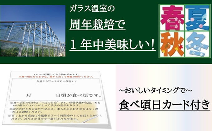 クラウンメロン”名人メロン”　2玉入　ギフト箱入り