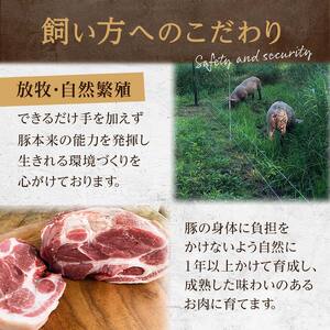 【放牧豚】小間切れ 300g×5 計1.5kg 肉 豚肉 冷凍 豚 お肉 焼肉 焼き肉 薄切り スライス 北海道 ジビエ ブタ 小分け 真空 ギフト おかず F4F-8454