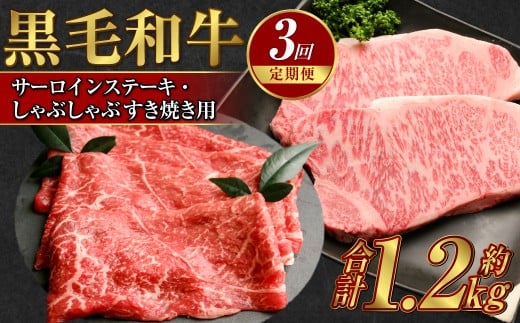 【定期便3か月】岡山 黒毛和牛 美星牛 A4等級以上 牛脂付き 3か月 定期便 合計約1200g 生産者直送便 美星町 美星牧場 定期便【黒毛和牛 肉 牛 岡山県 倉敷市 おすすめ 人気】