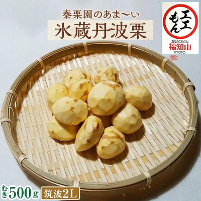ふるさと納税 福知山市 秦栗園のあま〜い氷蔵丹波栗 筑波2L むき500g【熟成】大粒 11月中旬発送
