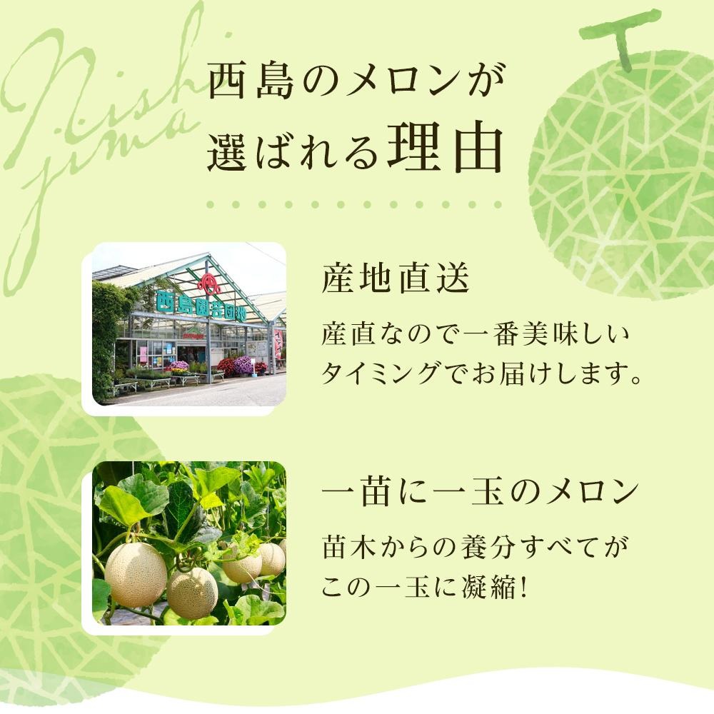 家庭用 メロン 1玉 | マスクメロン 1個 フルーツ 果物 厳選 高級 青肉メロン 人気 デザート ギフト プレゼント 贈り物 くだもの 旬 お取り寄せ 訳アリメロン 甘い 青肉 メロン 高糖度メロ