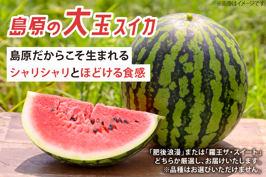 AJ698 【令和8年出荷分】 Farm honda 大玉スイカ 1玉 8kg以上 [ スイカ すいか 西瓜 大玉すいか 肥後浪漫 羅皇ザ・スイート 羅王 ラオウ らおう あまい 本多光則農園 ]_イ