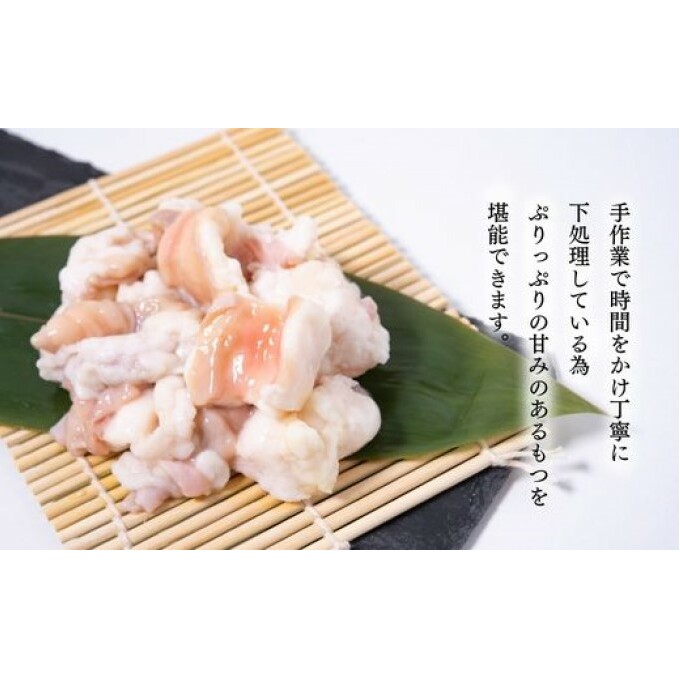 もつ鍋 老舗人気店 博多本格もつ鍋 セット 2～3人前×2セット (醤油味) ※配送不可：離島 鍋セット 冬 牛小腸 下処理 ぷりっぷり 甘み 昆布だし かつおだし 温まる お鍋 牛もつ鍋 _イメージ