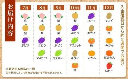 丸亀讃果 フルーツ詰め合わせ 季節のフルーツ 果物