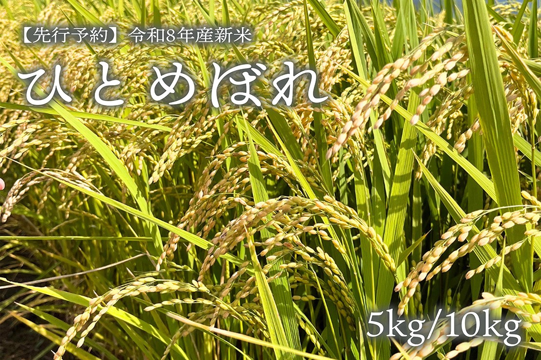 
                  【先行予約】【令和8年産・新米】ひとめぼれ5kg／10kg　磐梯町の名水で育ったひとめぼれ　10月上旬から発送予定　会津産　磐梯町産　福島県産
                