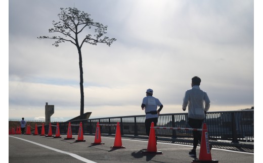 【2026年12月6日(日)開催】 奇跡の一本松マラソン 参加権 1名様分 〈 コース：3.7km 一般(高校生以上)〉【 岩手県 陸前高田市 マラソン 出走 ランナー イベント 】 RT3051