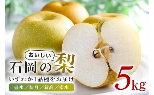 石岡のおいしい梨5kg A39-002