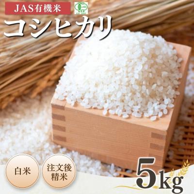 ふるさと納税 南相馬市 JAS有機米 コシヒカリ 白米 5kg 令和7年産 精米 根本有機農園