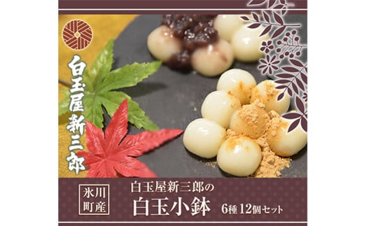 「白玉屋新三郎」の白玉小鉢6種 12個セット 《30日以内に出荷予定(土日祝除く)》 熊本県氷川町産---sh_fshinkobac_30d_23_19000_12p---