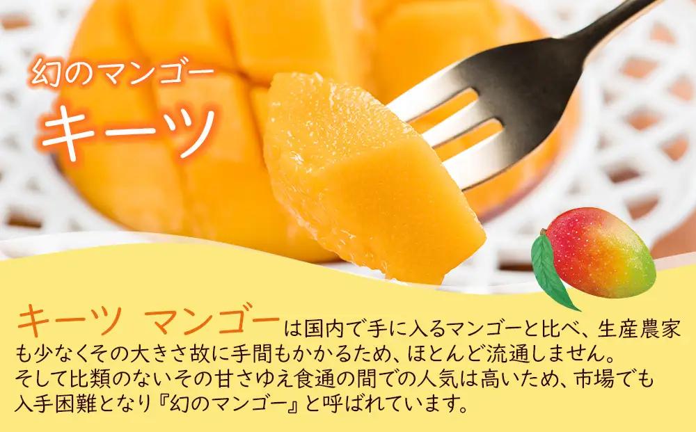 超希少なマンゴー［キーツ］約800g 和歌山市［2026年9月中旬頃から発送］