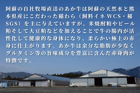B319-40 あか牛リブローススライス 800g（あか牛リブローススライス400g×2）