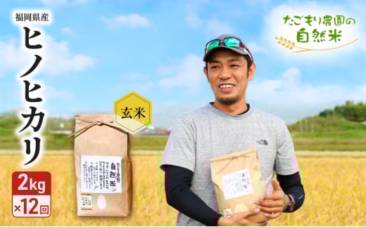 定期便 12ヶ月 米 たごもり農園の自然米 ヒノヒカリ 玄米 2kg お米 12回