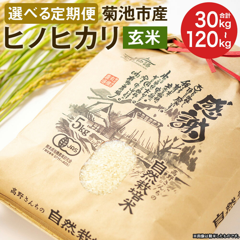 【ふるさと納税】【選べる定期便】熊本県菊池産 ヒノヒカリ 玄米 10kg 3ヶ月/6ヶ月/12ヶ月 定期便 七城物語 高野さんちの自然栽培米 米 お米 自然栽培米 特A 国産 九州産 熊本県産 送料無料
