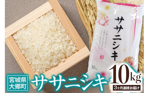 
										
										[定期便／3ヶ月連続] 令和6年産 ササニシキ 10kg｜2024年 宮城産 大郷町 白米 米 コメ 精米 定期便 [0210]
									