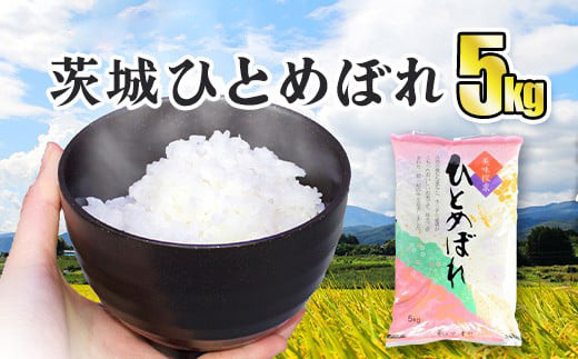 令和7年産 茨城ひとめぼれ 5kg 1袋 ひとめぼれ 白米 精米 ごはん お米 国産 茨城県産 守谷市 送料無料