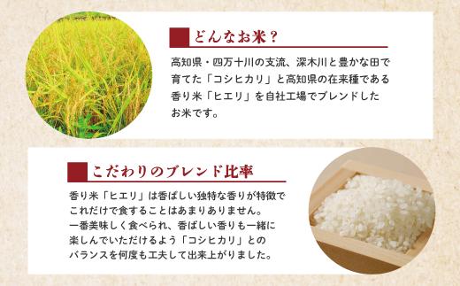 【令和6年産】四万十のかおり5kg＆四万十のこしひかり5kgの食べ比べセット（合計10kg）6-156