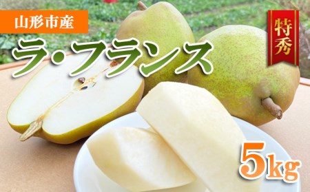 山形市産 ラ・フランス 特秀 5kg FY23-693